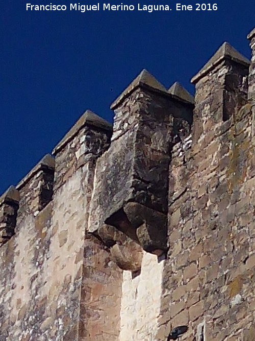 Castillo de la Fuensanta - Castillo de la Fuensanta. Matacn