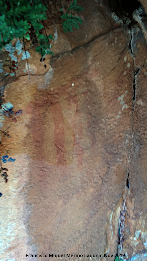 Pinturas rupestres del Arroyo del Chortal III - Pinturas rupestres del Arroyo del Chortal III. Pectiniforme del grupo III
