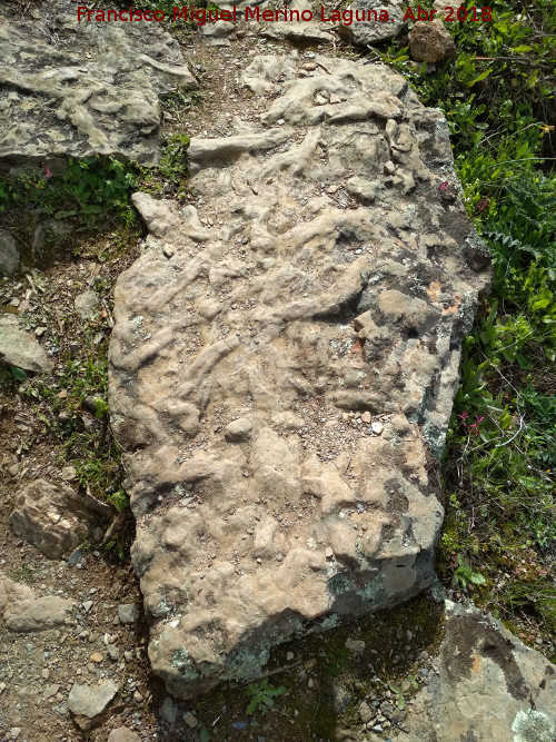 Cruziana - Cruziana. En la parte alta de la Cascada de la Cimbarra - Aldeaquemada