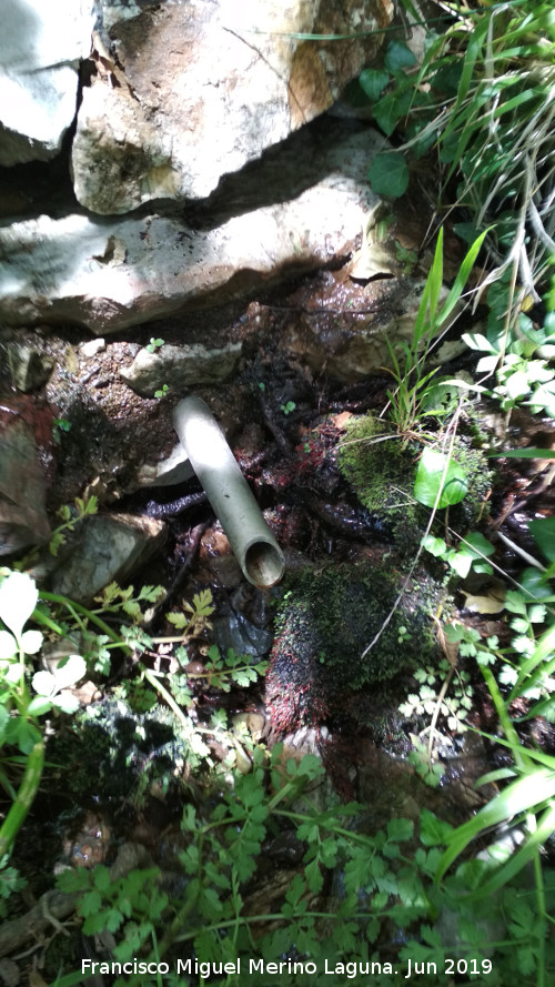 Fuente del Cimbarrillo - Fuente del Cimbarrillo. Cao