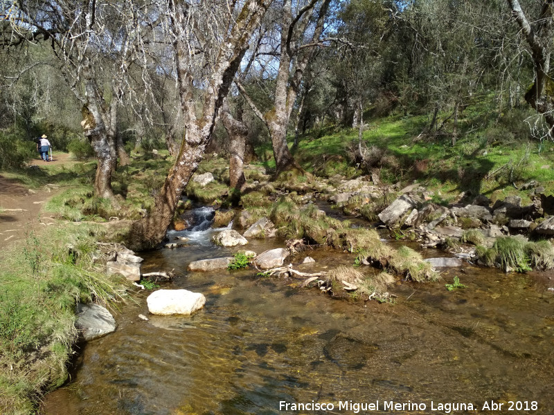 Sendero Arroyo de Martn Prez - Sendero Arroyo de Martn Prez. 