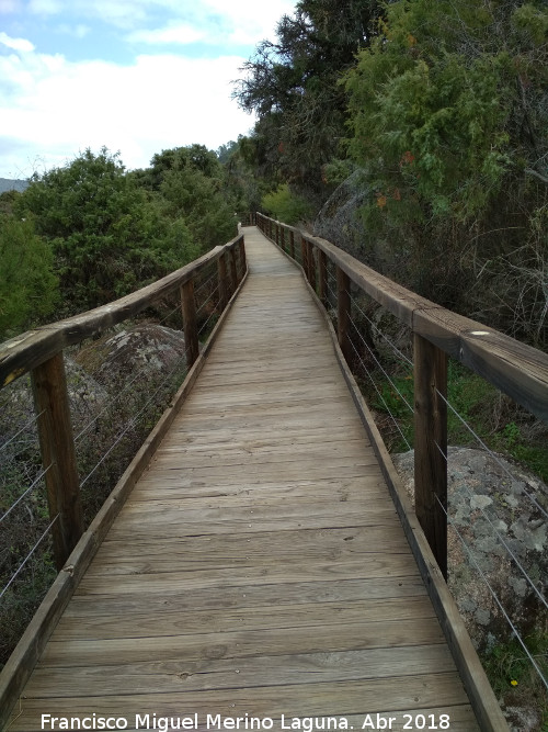 Sendero del Enebral - Sendero del Enebral. 