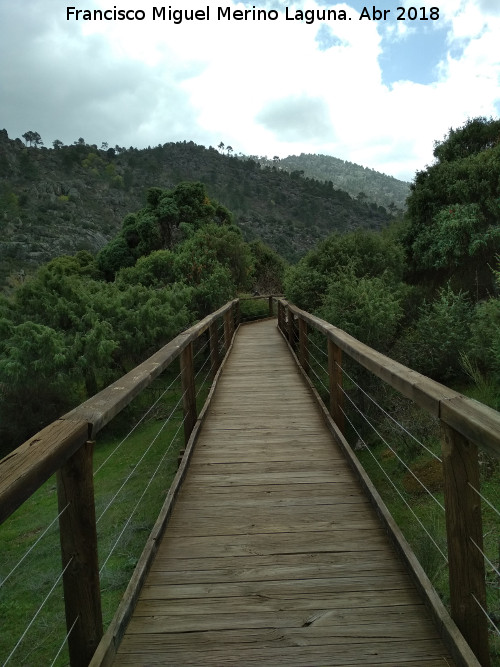 Sendero del Enebral - Sendero del Enebral. 