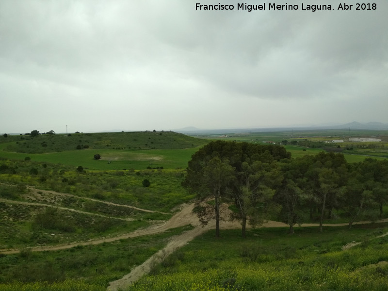 Castillo de Barcience - Castillo de Barcience. Vistas