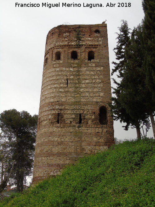 Torre de la Vela - Torre de la Vela. 