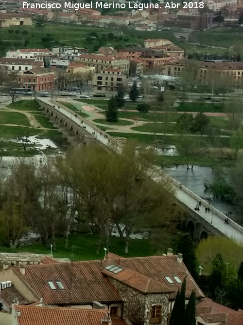 Puente Romano - Puente Romano. Desde la Catedral