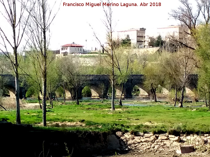 Puente Romano - Puente Romano. 