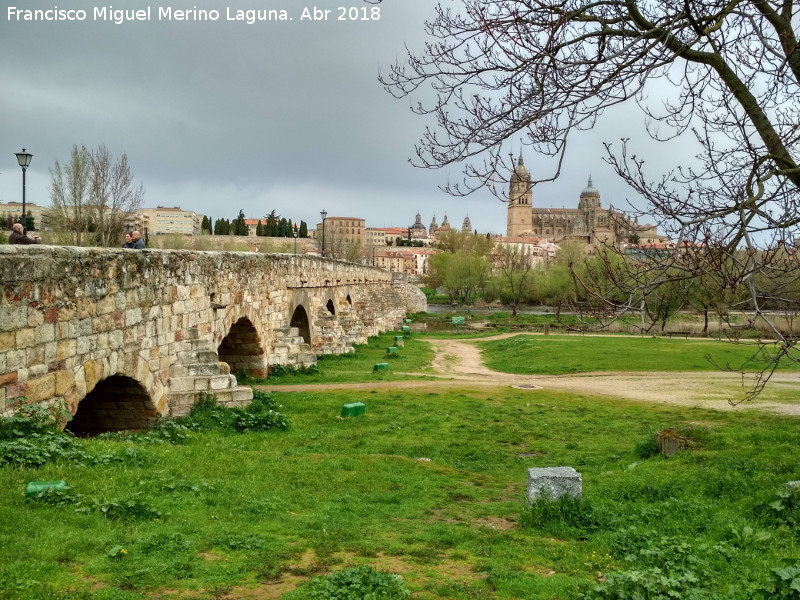 Puente Romano - Puente Romano. Con Salamanca al fondo