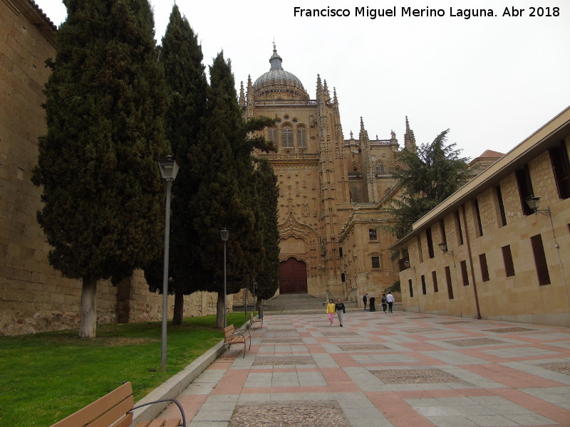 Catedrales de Salamanca - Catedrales de Salamanca. Desde el Patio Chico