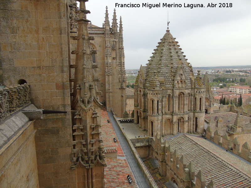 Catedrales de Salamanca - Catedrales de Salamanca. Cubiertas