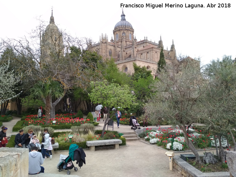 Catedrales de Salamanca - Catedrales de Salamanca. Desde el Huerto de Calixto y Melibea