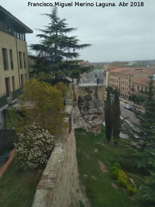 Muralla de Salamanca - Muralla de Salamanca. Desde la Casa Lis