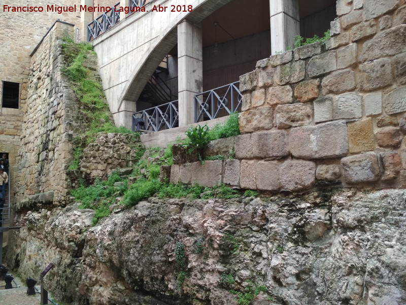 Muralla de Salamanca - Muralla de Salamanca. Muralla en la Cueva de Salamanca