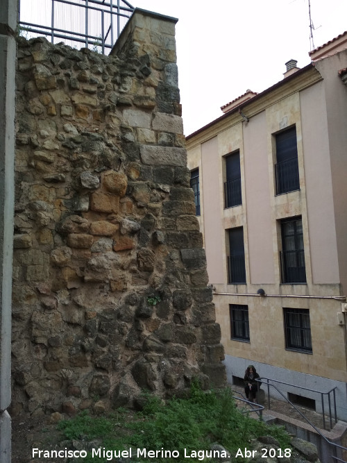 Muralla de Salamanca - Muralla de Salamanca. Muralla en la Cueva de Salamanca