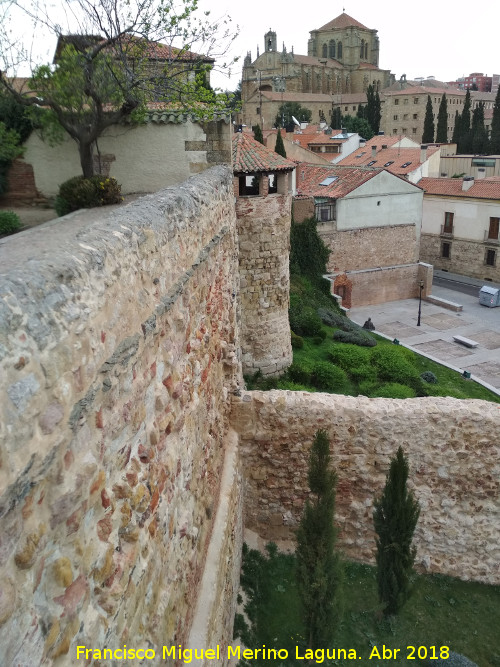 Muralla de Salamanca - Muralla de Salamanca. 