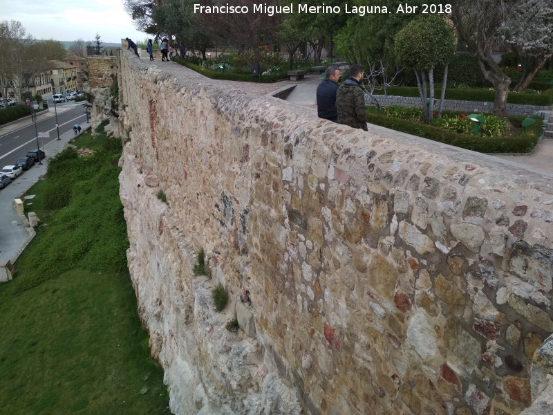 Muralla de Salamanca - Muralla de Salamanca. 