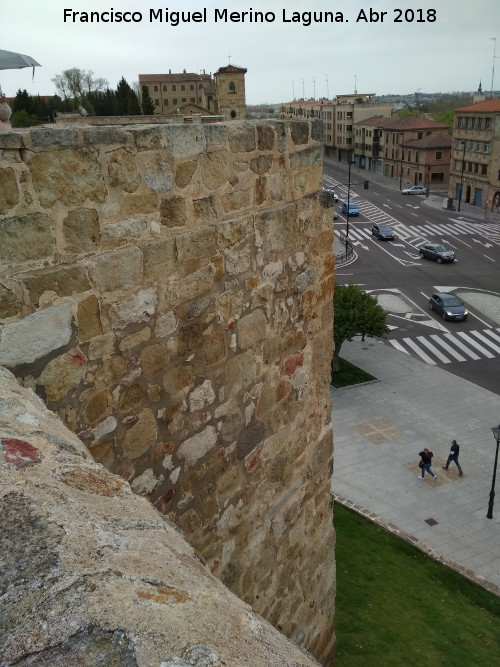 Muralla de Salamanca - Muralla de Salamanca. Torren