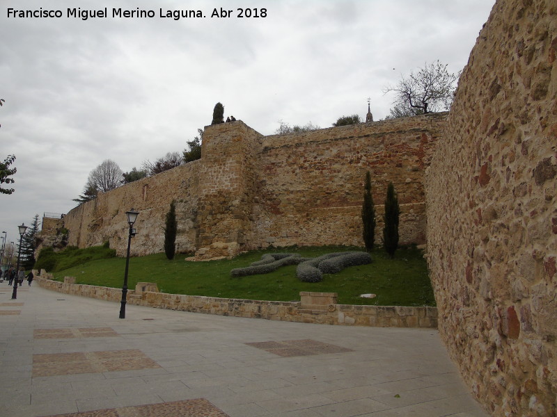 Muralla de Salamanca - Muralla de Salamanca. 