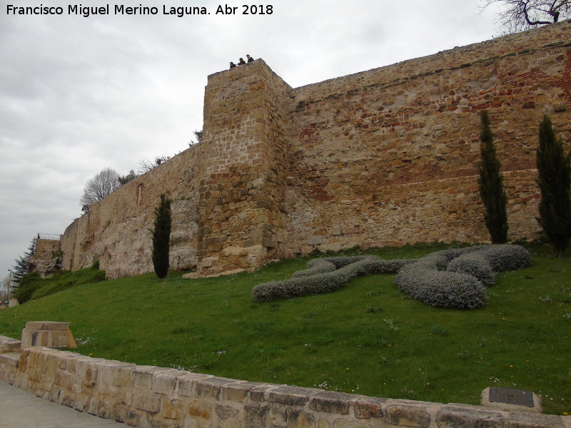 Muralla de Salamanca - Muralla de Salamanca. 