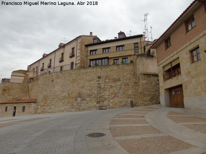 Muralla de Salamanca - Muralla de Salamanca. Puerta del Ro