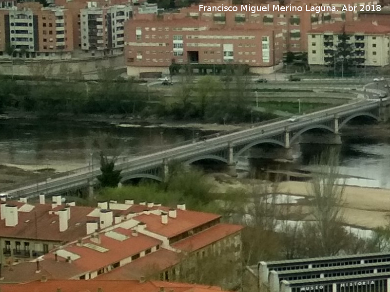Puente de Enrique Esteban - Puente de Enrique Esteban. Desde la Catedral