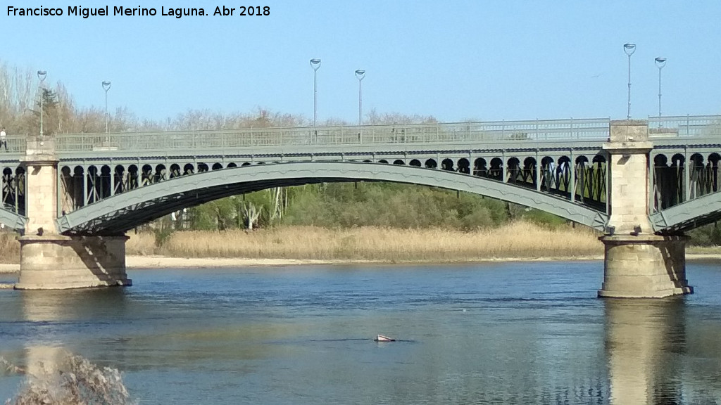 Puente de Enrique Esteban - Puente de Enrique Esteban. 