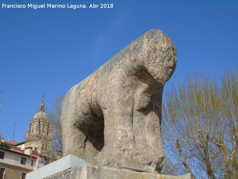 Verraco del Puente - Verraco del Puente. 