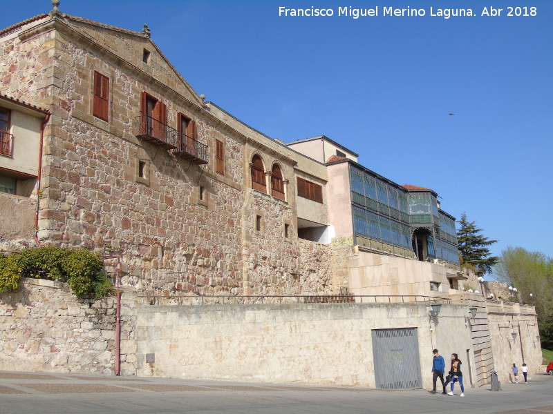 Paseo del Rector Esperab - Paseo del Rector Esperab. 