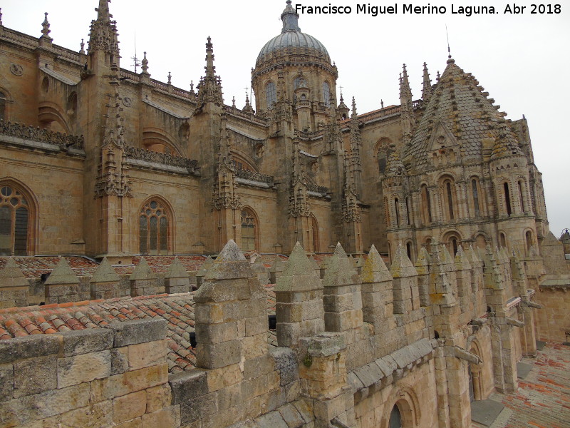 Catedral Vieja - Catedral Vieja. Cubiertas