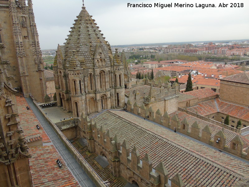 Catedral Vieja - Catedral Vieja. Cubierta