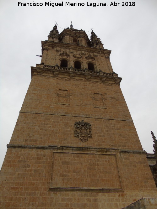 Catedral Vieja. Torre de las Campanas - Catedral Vieja. Torre de las Campanas. Desde la Torre Mocha