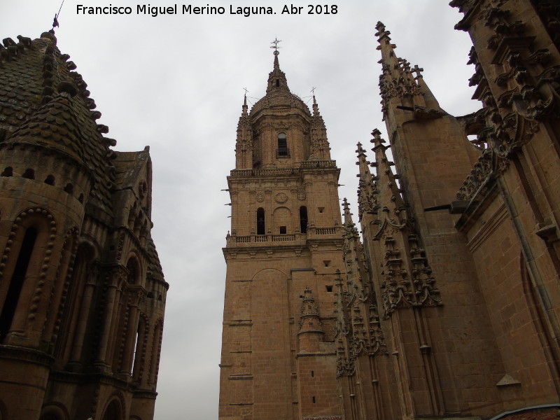 Catedral Vieja. Torre de las Campanas - Catedral Vieja. Torre de las Campanas. Desde los tejados