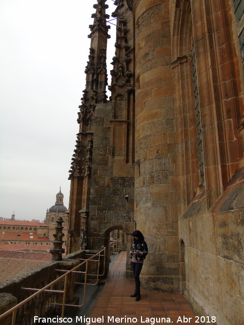 Catedral Nueva. Fachada Principal - Catedral Nueva. Fachada Principal. Terraza