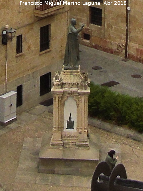 Monumento al Padre Cmara - Monumento al Padre Cmara. Desde la Catedral