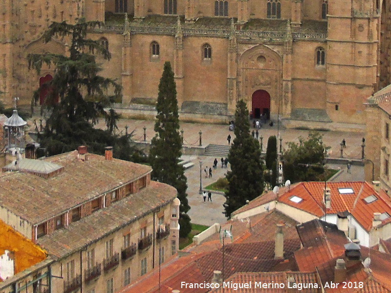 Plaza Anaya - Plaza Anaya. Desde la Clereca