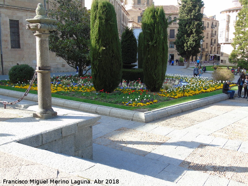 Plaza Anaya - Plaza Anaya. Uno de los jardines