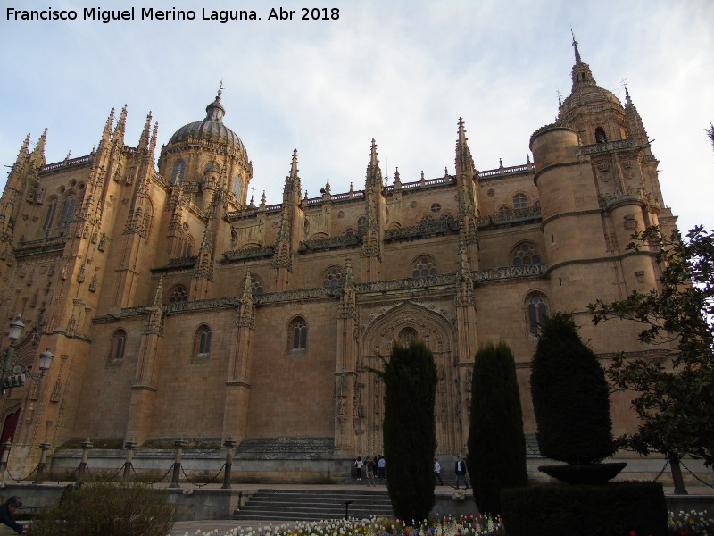 Catedral Nueva - Catedral Nueva. 