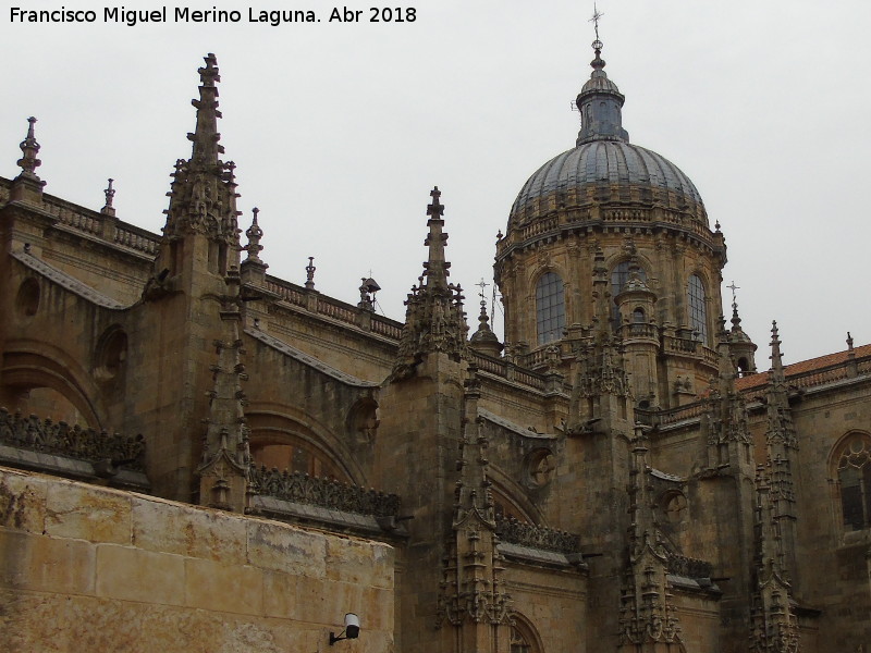 Catedral Nueva - Catedral Nueva. 