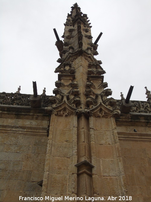 Catedral Nueva - Catedral Nueva. Pinculo