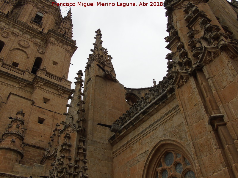 Catedral Nueva - Catedral Nueva. Pinculos