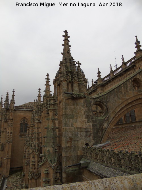 Catedral Nueva - Catedral Nueva. Agujas