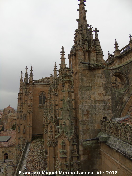 Catedral Nueva - Catedral Nueva. Agujas