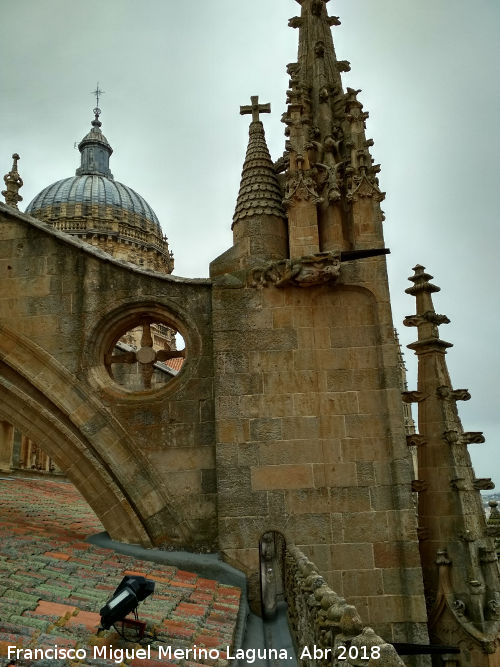 Catedral Nueva - Catedral Nueva. Tejado