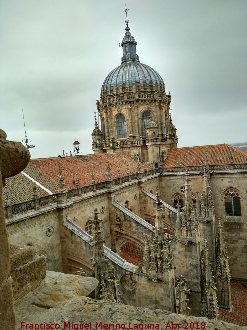 Catedral Nueva - Catedral Nueva. Tejados