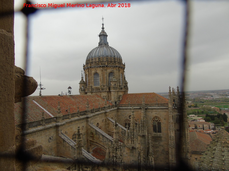 Catedral Nueva - Catedral Nueva. Cubiertas