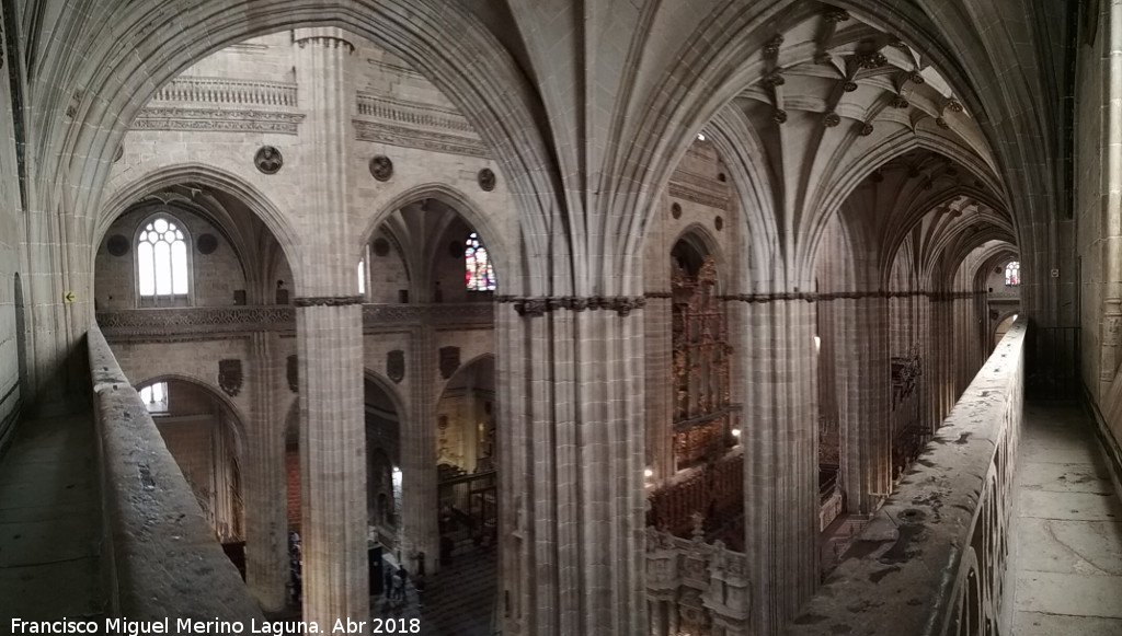 Catedral Nueva - Catedral Nueva. Interior