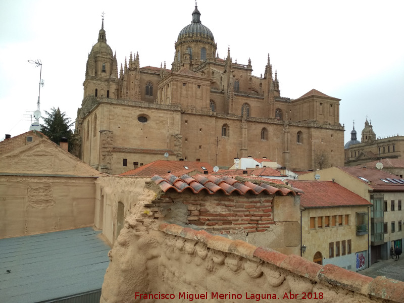 Catedral Nueva - Catedral Nueva. Desde la Torre del Marqus de Villena