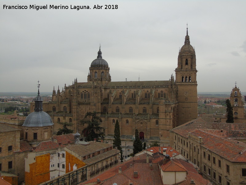 Catedral Nueva - Catedral Nueva. Desde la Clereca