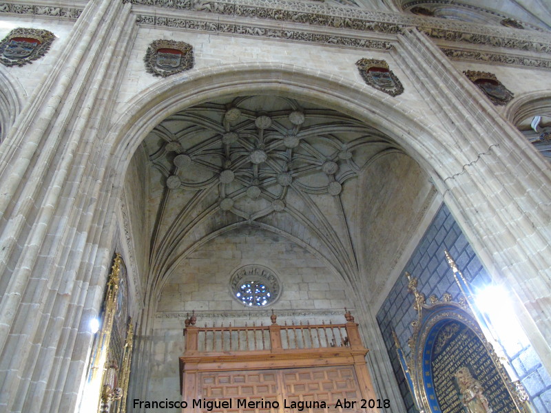 Catedral Nueva. Capilla de Diego de Neyla - Catedral Nueva. Capilla de Diego de Neyla. Bveda de crucera