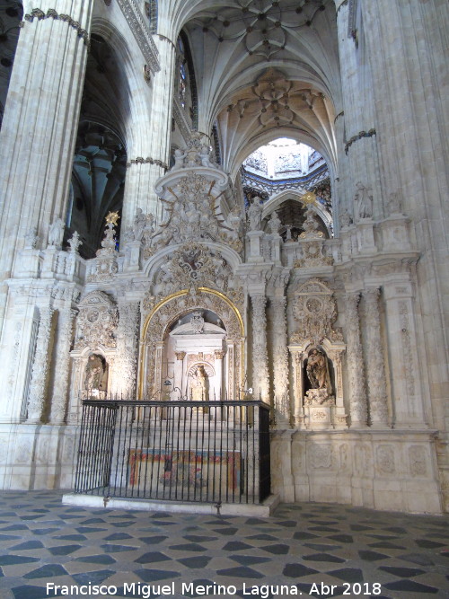 Catedral Nueva. Trascoro - Catedral Nueva. Trascoro. 